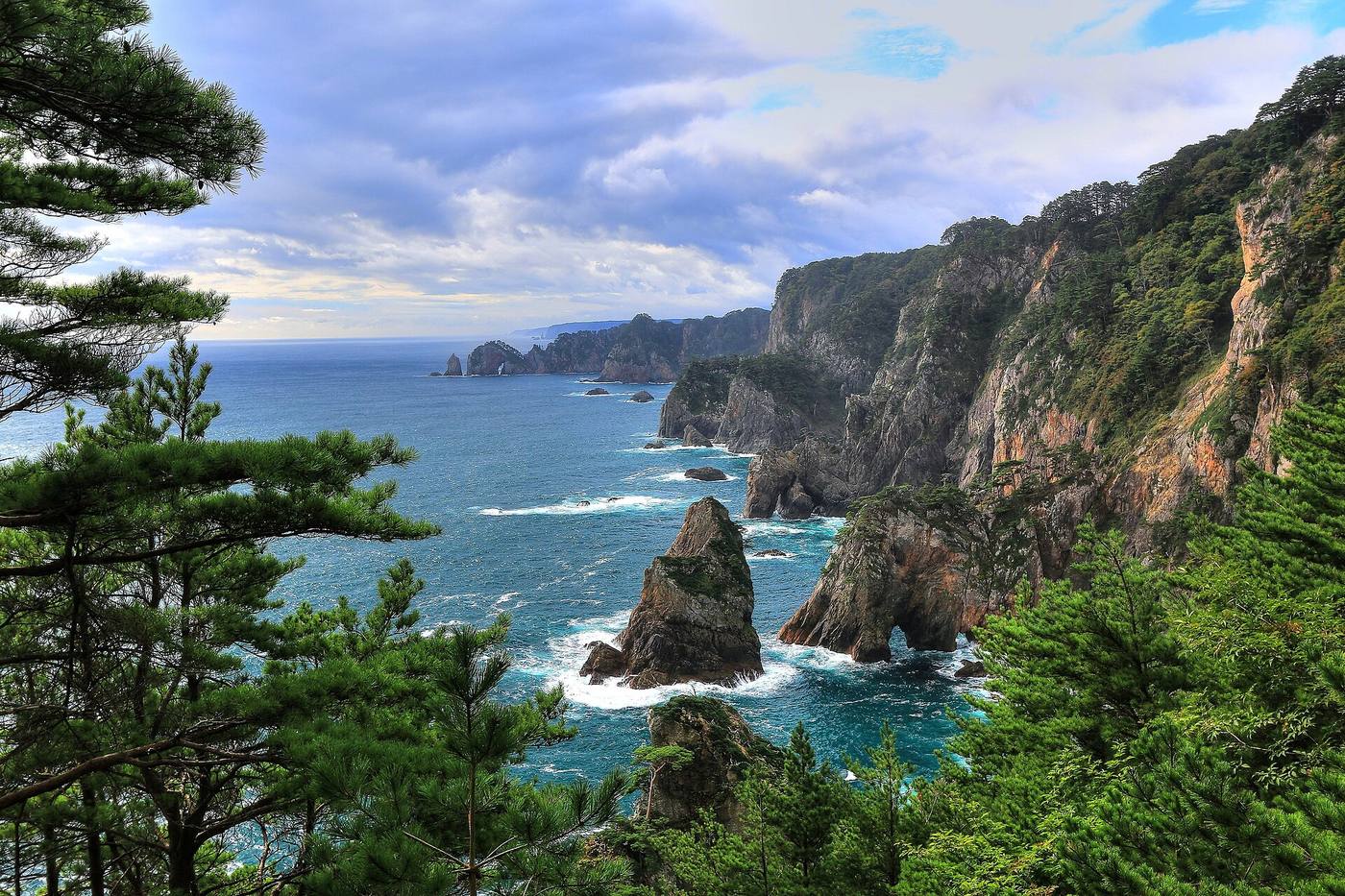 Kitayamazaki's sea cliffs and rock stacks in Iwate, seen from the first observation deck through pine trees